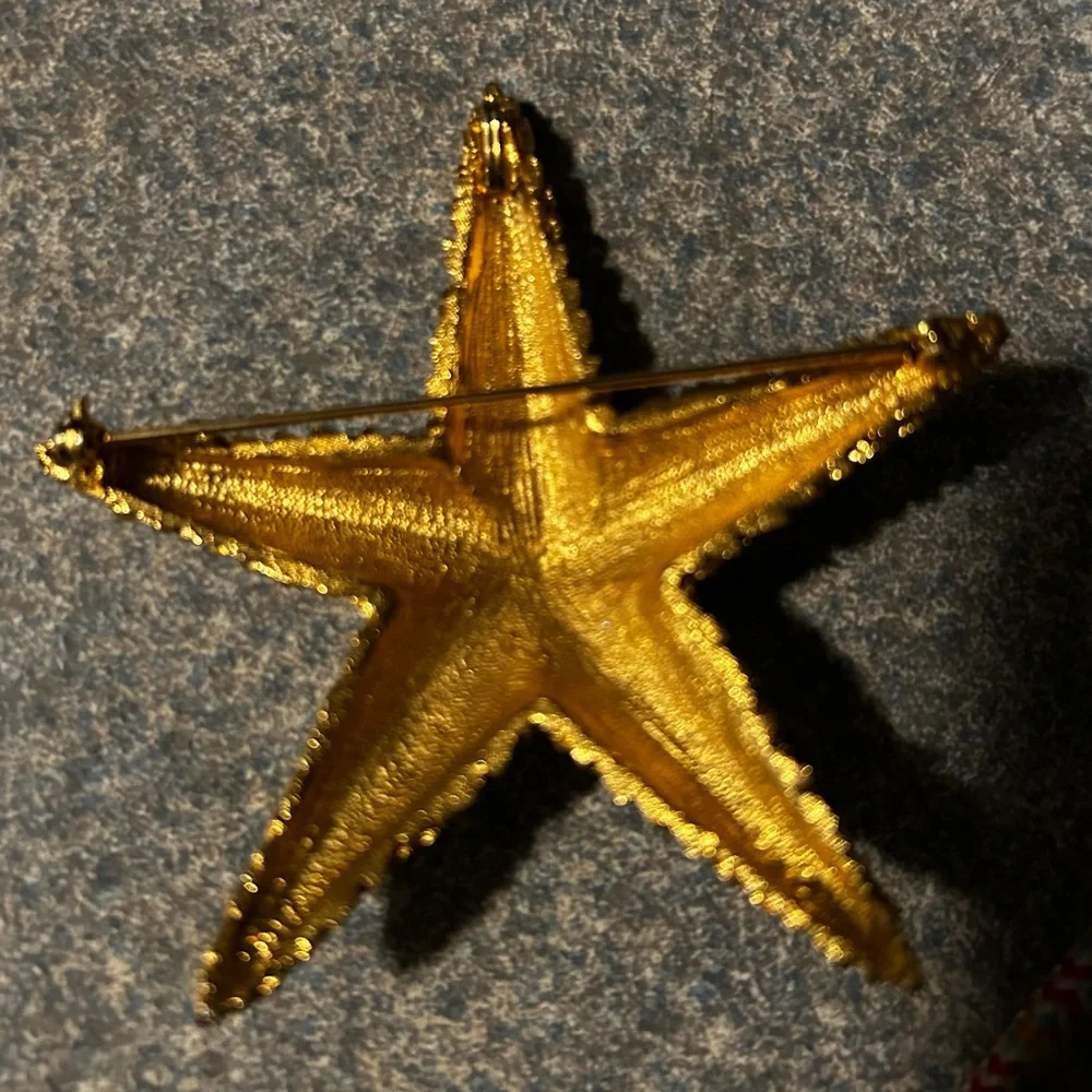 Sonoma Gray Fedora Hat with a Large Starfish or Star of Texas brooch/pendent - Picture 9 of 9